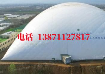 九合垸原种场气膜棚卷帘门,电动门